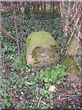SE2646 : Boundary stone, Castley Lane, Castley by Humphrey Bolton