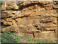 Sandstone. Old Quarry, Tuckhill, Shropshire