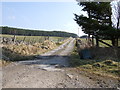 Track to Auchindoun Castle