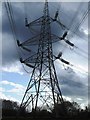 Pylon at Hardley