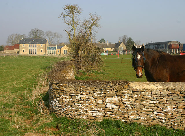 Horse at Kencot