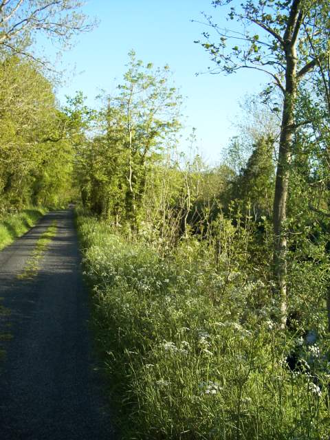 Riverside path along the Lough Allen Canal
