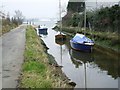 Creek Near Marchwood