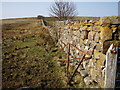 Dry stone dyke