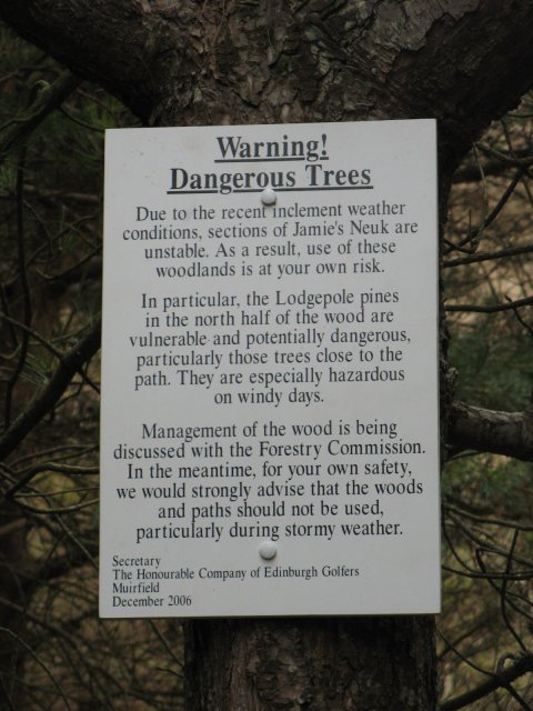 Shoogly tree warning © Richard Webb :: Geograph Britain and Ireland