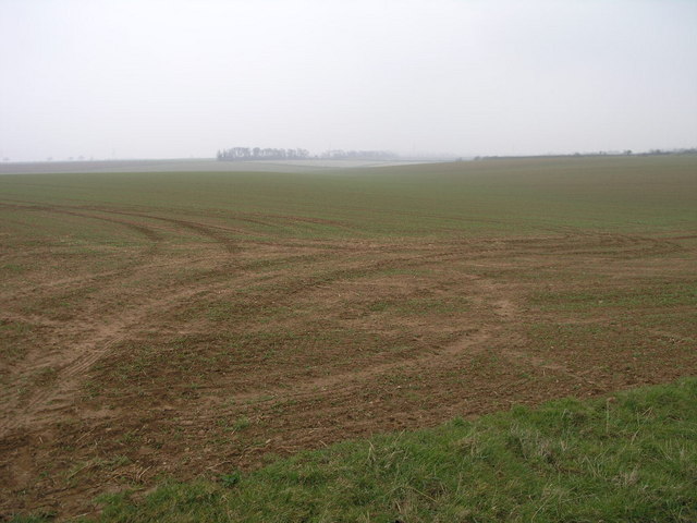 Footpath to the A15