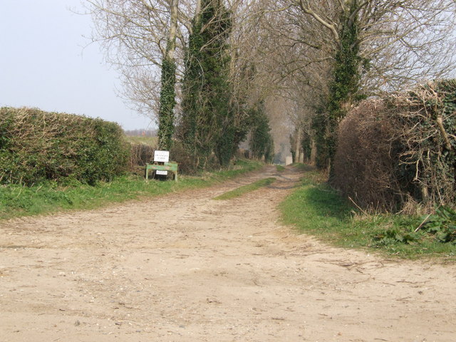 Tree lined track to Swangey Farm