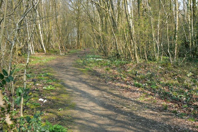 Footpath into Legg's Wood