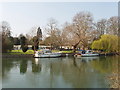 The Thames below Bray Lock