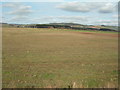 Farmland near Cowbog