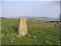 The trig point on Rosehill