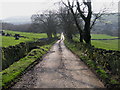 Bottomley Bank Lane