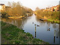 Thamesmead: Gallions Canal