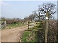 Bridleway to Wheaton Aston