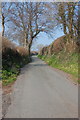 Country lane near Scethrog