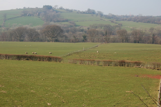Fields near Pont Wingon