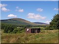 A clearing in Threestoneburn Wood