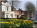 Spring in Castle Street