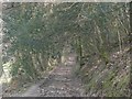 SN3042 : Bridleway near to the Afon Ceri by Dawn  Faith Worrall