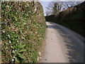 Lane near Higher Tor