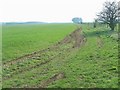 Bridleway from Budgehill Wood