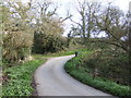 Bend in the lane at Millpool