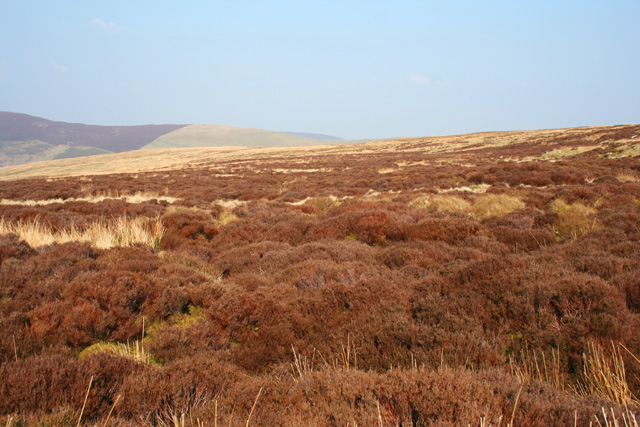 Moorland north of Moel Pearce © Espresso Addict cc-by-sa/2.0 ...