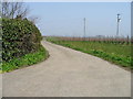 Farm road and bridleway