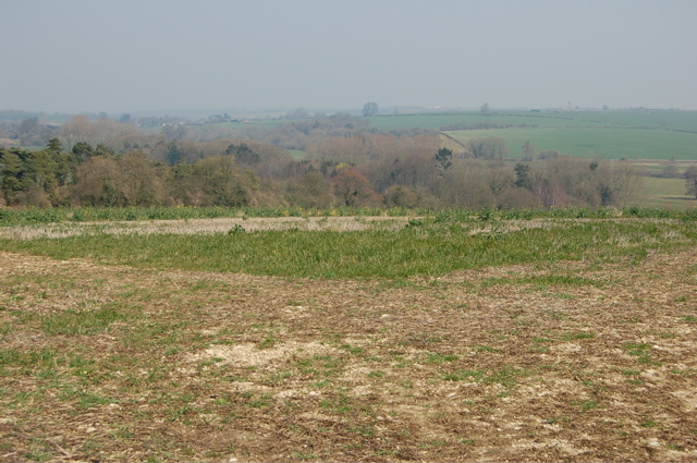 Field near Letchmere Cottage