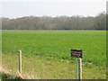 View across farmland to Clangate Wood