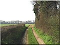 Footpath near Charlton Wood