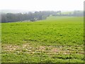 Charlton Farm nestling amongst the green fields