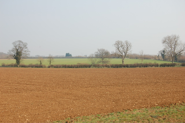 Countryside north of Kiddington