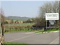 Vineyard in the Elham Valley