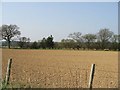 Farmland near Jacques Court