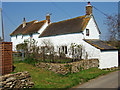 ST6905 : Cottages at Buckland Newton by Mike Searle
