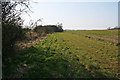 DEFRA conservation walk near Irnham:1