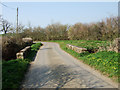 Blackmore Ford Bridge