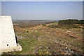 Blacknoll Hill Trig Point, Winfrith Heath