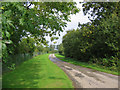 Road Into Wykeham