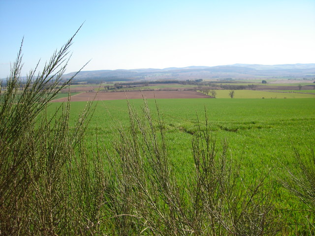 Pasture Land between Kinalty and Reedie