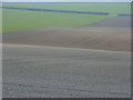 Farmland, Kingston Warren