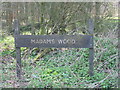 Madams Wood