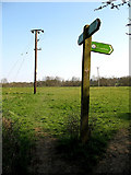TQ2395 : Signpost and Pylon by Martin Addison