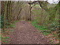 Down the bridleway