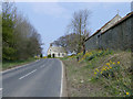 Spring Flowers by the B1257