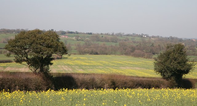 Fields near High Offley