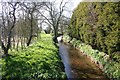 Grassthorpe Beck