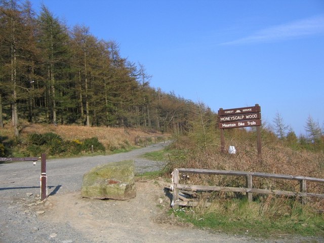 Entrance to Moneyscalp Wood