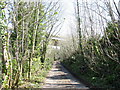 British Rail owned bridge access track